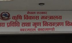 नौ सय खाद्य वस्तुको नमूना परीक्षण