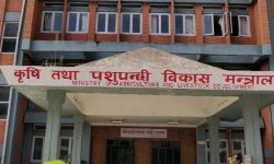 किसान आयोगको अध्यक्ष र सदस्य पदका लागि सरकारद्वारा आवेदन माग