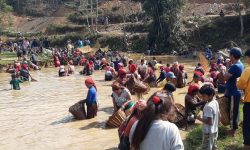 माछा मार्ने प्रतियोगिता