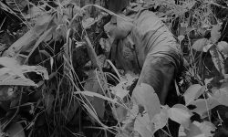 काठमाडौंको चाल्नाखेलमा दुई पुरुषको शव फेला