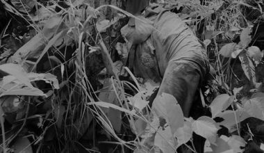 काठमाडौंको चाल्नाखेलमा दुई पुरुषको शव फेला