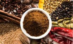 नमूना मसलाबाली गाउँ: बेसार निर्यात शुरु