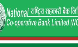 केन्द्रीय कार्यालय भवन निर्माणका लागि राष्ट्रिय सहकारी बैंकले बनायो कार्यदल