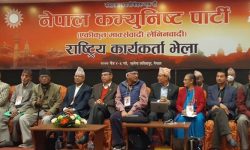 नेपाल-खनाल समूहको राष्ट्रिय कार्यकर्ता भेला सुरु