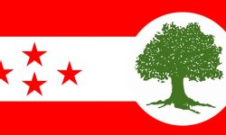 नेपाली कांग्रेसको १४औं महाधिवेशनअन्तर्गत पालिका अधिवेशन आज