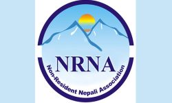 एनआरएन प्रतिनिधि नामावली प्रकाशनकाे विषयमा उजुरी