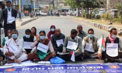सांसद चौधरी रिहाइको माग गर्दै थारु अगुवाद्वारा धर्ना