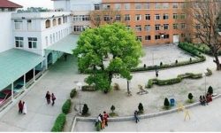 पाटनमा मिर्गौला उपचार गराउने बिरामी बढे