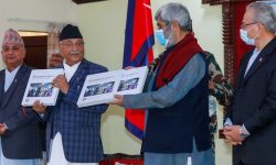 प्रधानमन्त्रीद्वारा कोभिड १९ महामारी र प्रतिकार्य प्रतिवेदन सार्वजनिक