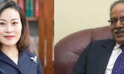 नेपाली राजनीतिमा बढ्यो चीनको सक्रियता, राजदूत यान्छीले भेटिन् प्रचण्ड