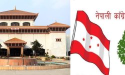 कांग्रेसद्वारा प्रतिनिधिसभामा तीन प्रस्ताव दर्ता