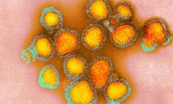 सर्ने र नसर्ने रोगहरु, लोकसेवाको लागि पनि काम लाग्छ