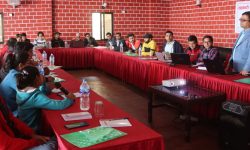 काठमाडौंको लप्सेफेदीमा २ दिने सहकारी पत्रकारिता तालिम सुरु