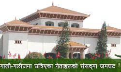 नेकपाका सांसद भन्छन्- आफ्नै पार्टीका साथीहरुलाई गाली गरियो अब कुन मुखले बोल्ने होला ख्वै ?