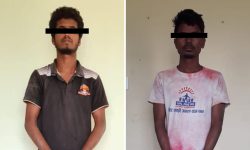 लहान मालपोतमा विस्फोट गराएको आरोपमा २ जना पक्राउ