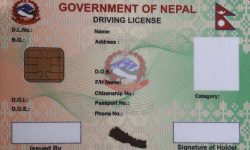 लाइसेन्स छपाइको काम रोकियो