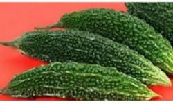 तिते करेलाका चामत्कारिक फाइदाहरु