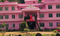 स्याङ्जामा विपद् व्यवस्थापनका लागि ‘विपद् पोर्टल’ सञ्चालन