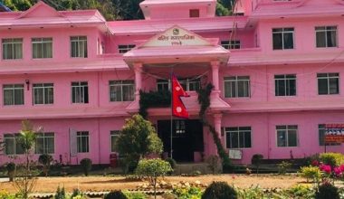 स्याङ्जामा विपद् व्यवस्थापनका लागि ‘विपद् पोर्टल’ सञ्चालन