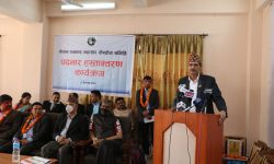 पत्रकार महासंघकाे नवनिर्वाचित समीतिद्वारा पदभार ग्रहण