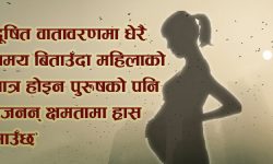 दूषित वायुले गर्भमा कसरी पार्छ प्रभाव ?