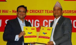 वाईवाइले गर्‍यो यू-१९ क्रिकेट टिमलाई प्रायोजन