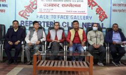 निजामती सेवा ऐन तानाशाही र अलोकतान्त्रिक छ