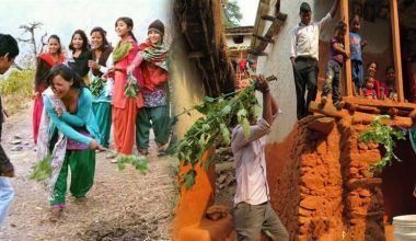 सुदूरपश्चिममा ‘बिसु’ पर्व मनाइँदै
