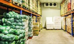 अत्याधुनिक प्रविधियुक्त शीतगृह निर्माण सुरु