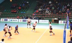 एपीएफलाई हराउँदे न्यु डायमन्ड फाइनलमा