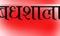 तनहुँमा सुविधा सम्पन्न वधशाला