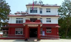 नेपालगन्जमा कोरोना संक्रमण भयावह, मेडिकल टिम पठाइदिन सरकारसँग आग्रह