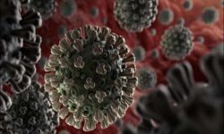 ब्राजिलमा कोभिडबाट थप साढे ३ हजारको मृत्यु