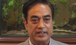 ‘दैनिक उपभोग्य सामानमा १० र विलासिताका सामानमा १३ प्रतिशत कर ठीक’