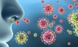 गाउँभरि ज्वरोका बिरामी, परीक्षण गरेका अधिकांशमा कोभिड-१९ सङ्क्रमण