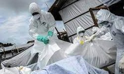 कोरोनाबाट चितवनमा तीन जनाको मृत्यु