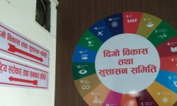 ‘सुपारीको आयातमा सरकारलाई व्यापारीहरुले प्रलोभनमा पारेका छन्’