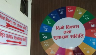 ‘सुपारीको आयातमा सरकारलाई व्यापारीहरुले प्रलोभनमा पारेका छन्’