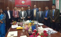 कृषि बिकास बैंकको सञ्चालकमा मैनाली नियुक्त