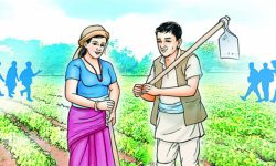 ‘किसानलाई केन्द्रमा राखेर मात्र नेपालले दिगो खाद्य तथा कृषि प्रणालीको विकास गर्न सक्छ’
