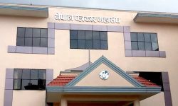 पत्रकार महासंघको चुनाव : १६ जिल्लाका मत परिणाम आउन बाँकी