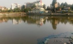 कमलपोखरी पुनः निर्माण ८५ प्रतिशत सम्पन्न