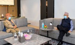 एमाले अध्यक्ष ओली र नेपालबीचको भेटवार्ता सकारात्मक, भएन ठोस निष्कर्ष