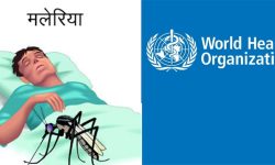 नेपाल सहित २५ देशमा मलेरियाविरुद्ध विशेष अभियान