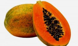 मेवा खानुका पाँच फाइदा यस्ता छन्