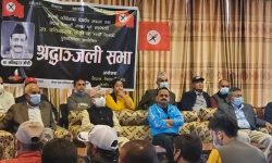 नवीन्द्रराजको निधनले देशलाई अपूरणीय क्षति