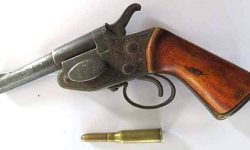 गोंगबुबाट पेस्तोलसहित ३ जना पक्राउ