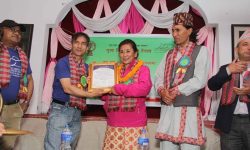 नाट्य प्रतिष्ठानमा विधागत समावेशीकरण नभएकाेमा गुनासाे