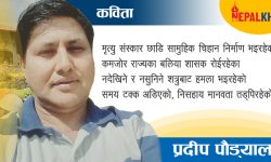 डाइनोसरहरूको स्वागत