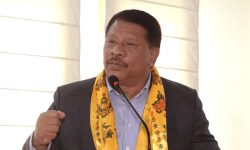 राष्ट्रपति र प्रधानमन्त्रीको गलत भूमिकाले गणतन्त्र संकटमा पर्‍यो : सिंह